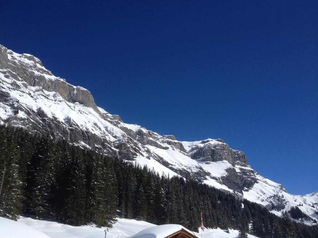 Appartment Chalet Sonnenheim Kandersteg Esterno foto